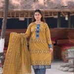 আড়ং বুটিক্স রেডিমেড থ্রি-পিস।
